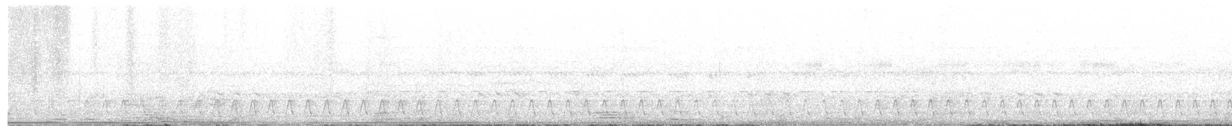 Kurzschleppen-Nachtschwalbe - ML284653811