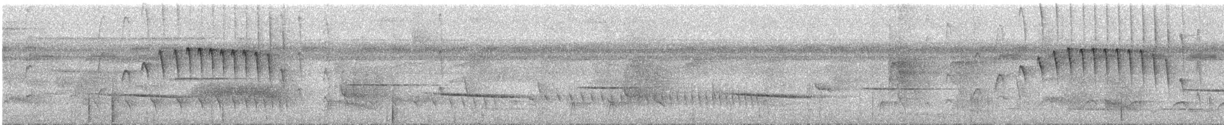 Rufous-tailed Stipplethroat - ML284654891