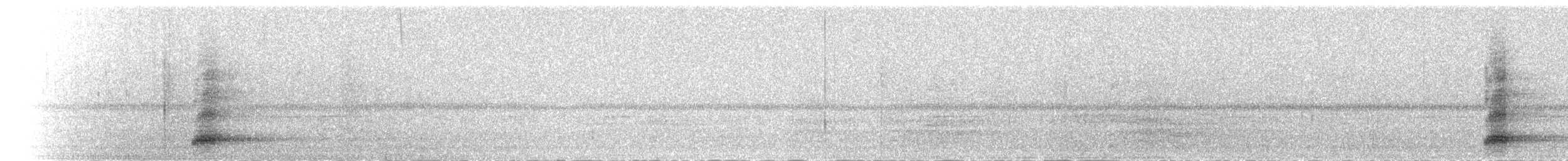 Nitticora - ML284696