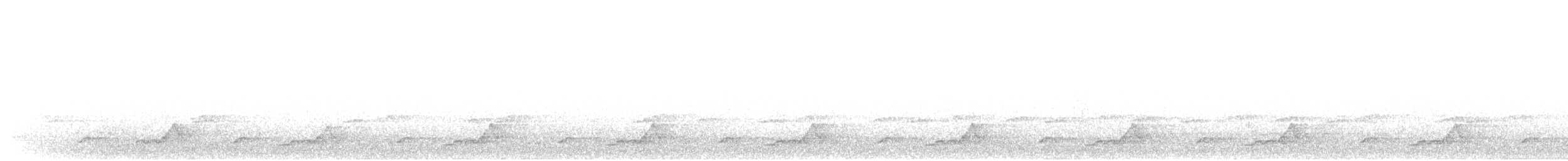 Schwarzkehl-Nachtschwalbe - ML28470081