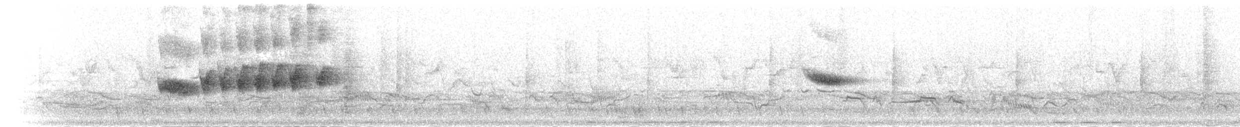 白斑紫嘯鶇 - ML284723