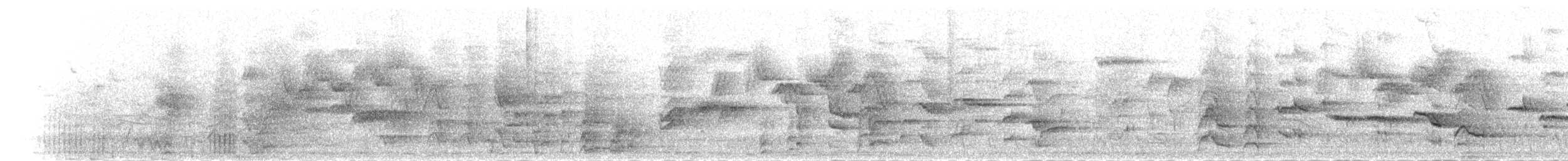白斑紫嘯鶇 - ML284725