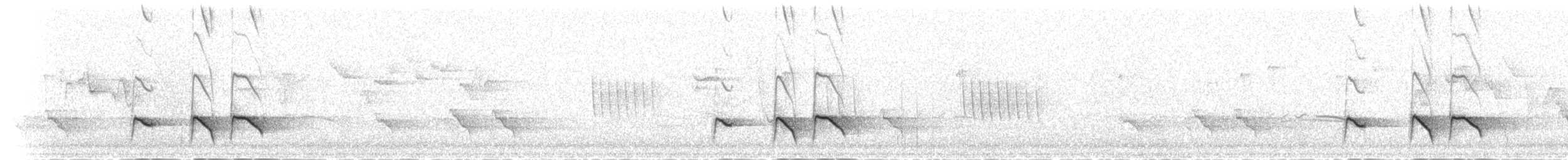 Allotrie siamoise (ripleyi) - ML284739