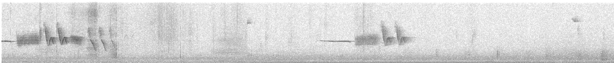Porsuk Serçesi (nuttalli/pugetensis) - ML284746741