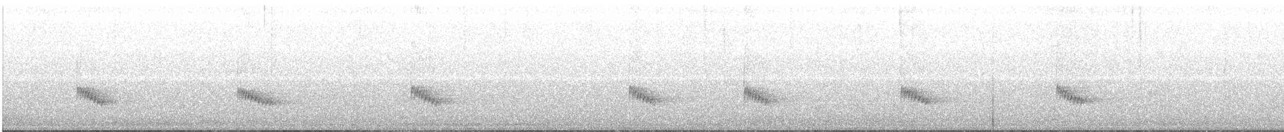 Carolina Wren - ML284767831