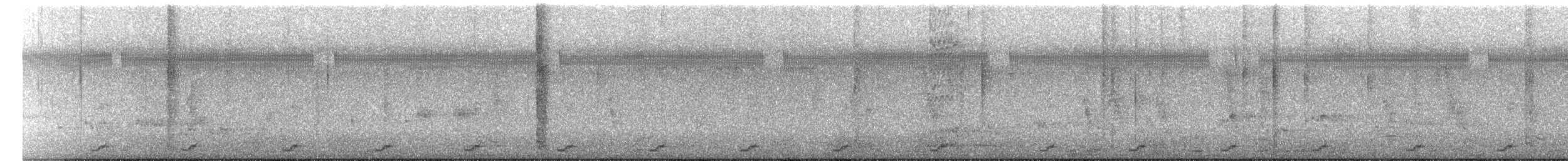 白腹秧雞 - ML284819121