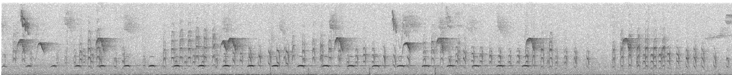 Black-capped Antwren - ML284839021