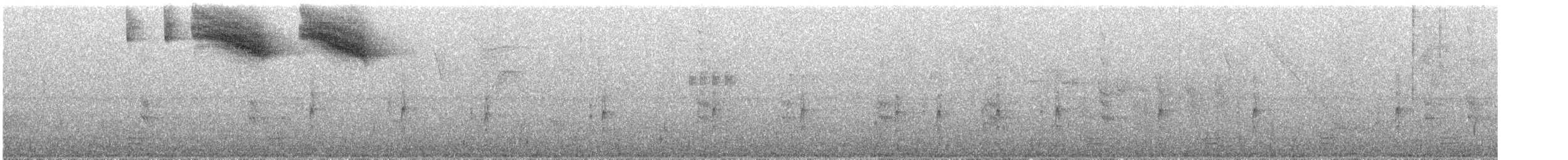 Tohi silencieux (taciturnus/nigrirostris) - ML284848081