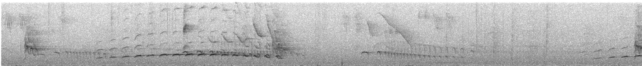 Fleckenbrust-Ameisenvogel - ML284848111