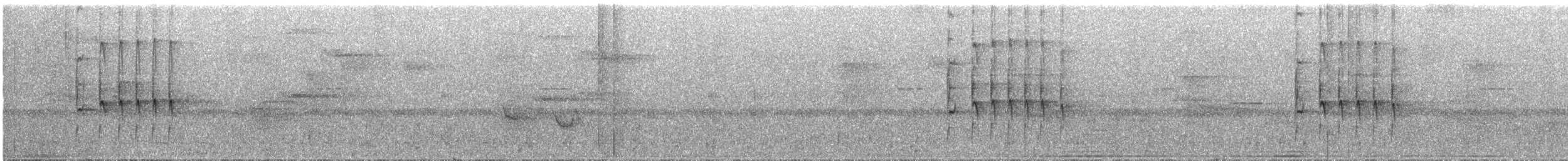 Çatal Kuyruklu Todi Tiranı - ML284853461