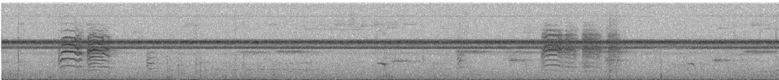 Band-tailed Antwren - ML284856151
