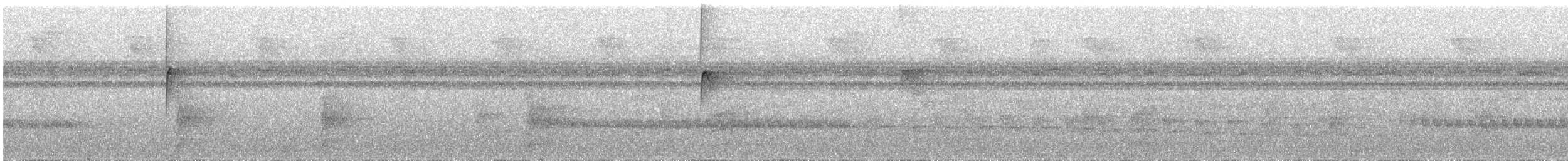 Whiskered Flycatcher (Yellow-rumped) - ML284861761