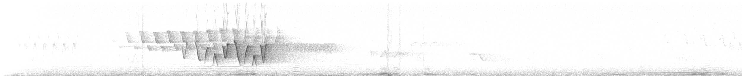 Augenring-Waldsänger - ML284888151
