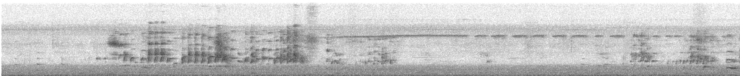 Чёрный погоныш - ML284925371