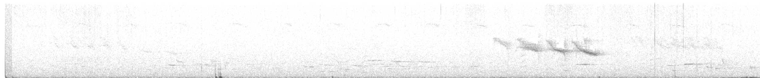 South Island Takahe - ML284987171