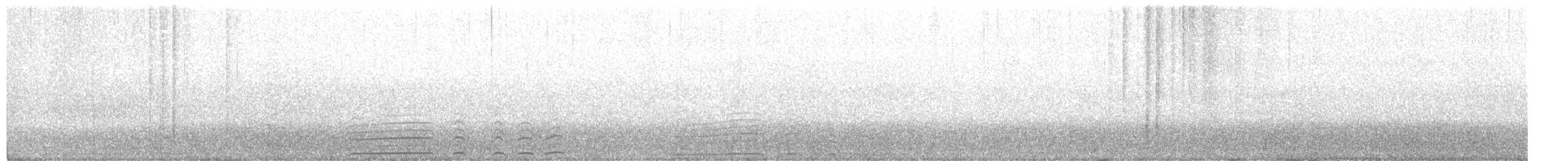 Южный ныряющий буревестник - ML284990031