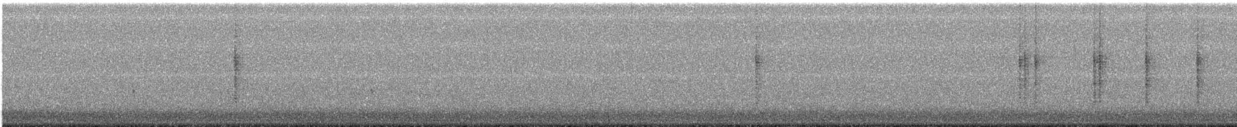 Цинантус синьогорлий - ML285002921