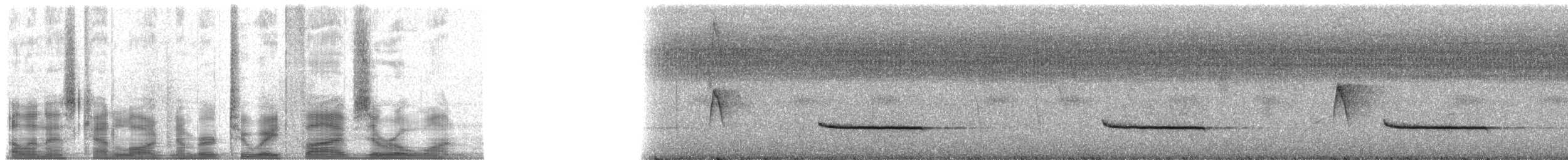 Slaty-capped Shrike-Vireo (Pale-legged) - ML28501