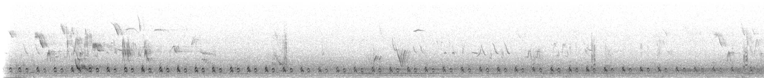 Perdrix de Przewalski - ML285059