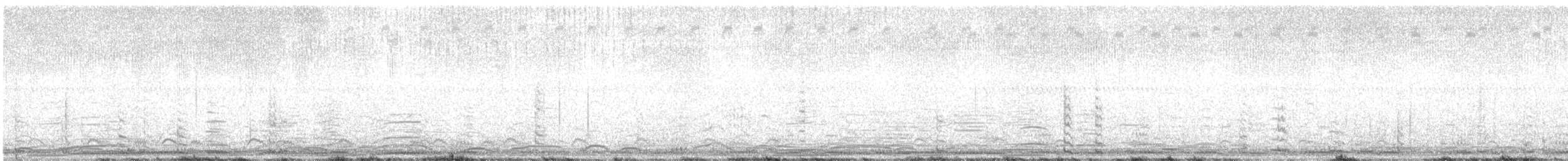 Cygne siffleur - ML285075441