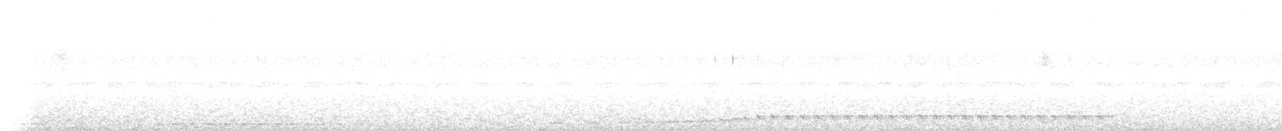 White-throated Nightjar - ML285080821