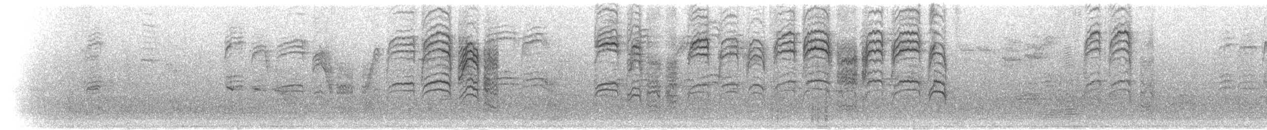 Sichuanmeise - ML285089