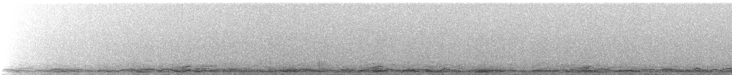 Cygne siffleur - ML285105821