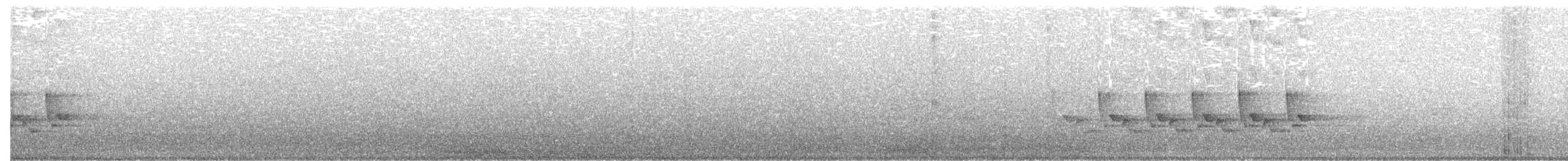 Karolina Çıtkuşu - ML28511621