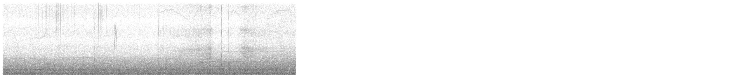 White Wagtail (Black-backed) - ML285120061