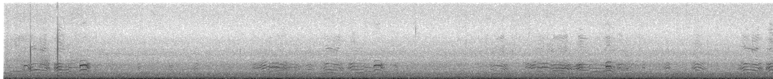 hoholka lední - ML285173091