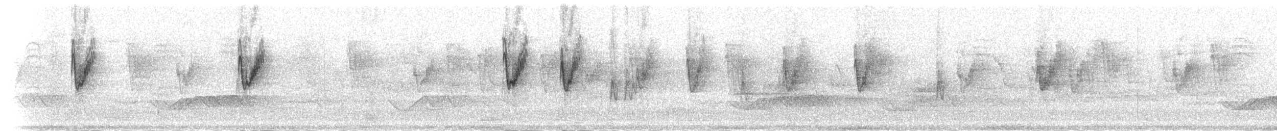 østsanger (obscuratus) - ML285188
