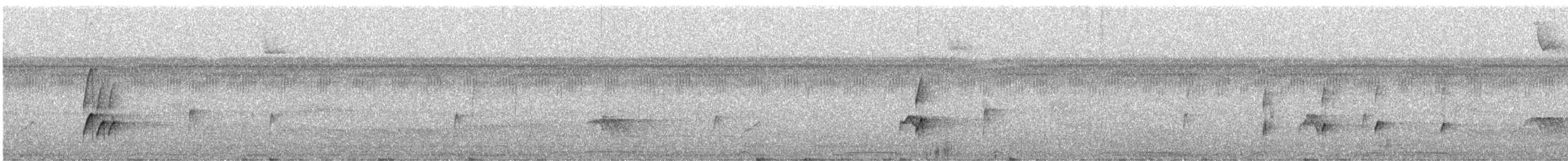 Çizgili Gerdanlı Todi Tiranı - ML285207491