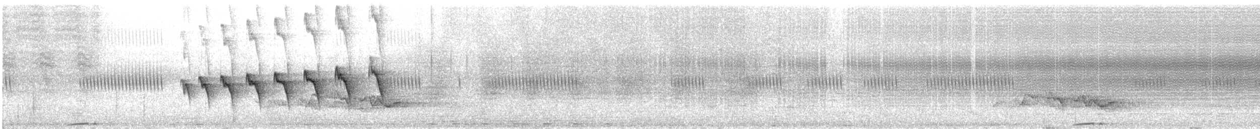 Braunscheitel-Ameisenvogel - ML285215401