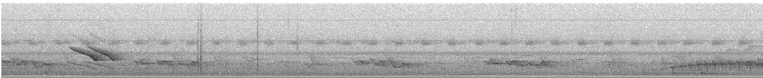 Band-tailed Manakin - ML285216971