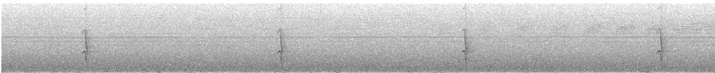 Porte-éventail de Swainson - ML285218251