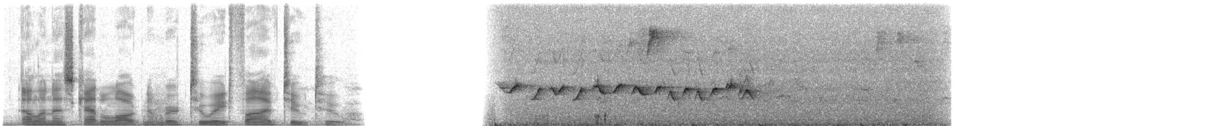 olivengulstrupe (semiflava) - ML28522