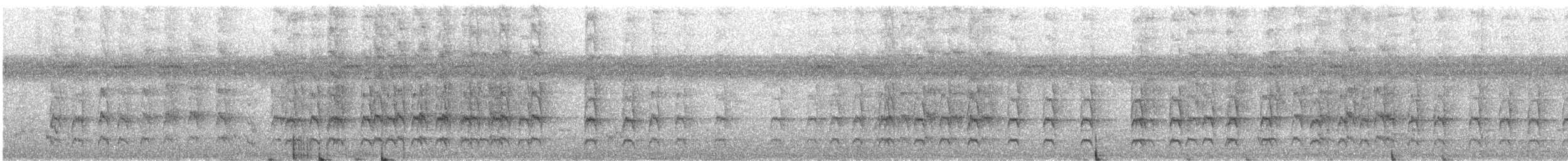 Белоухая которра - ML285225501