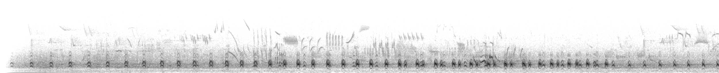 Perdrix de Przewalski - ML285259