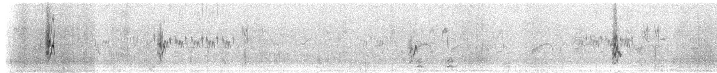 Przewalski Çütresi - ML285278