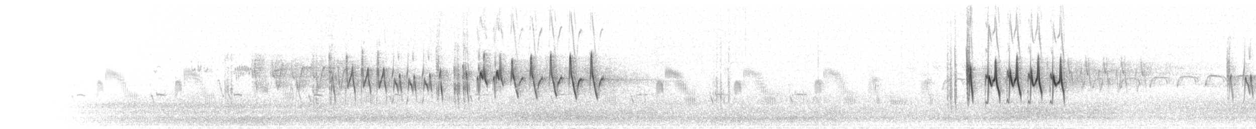 skrentsanger (occisinensis) - ML285288