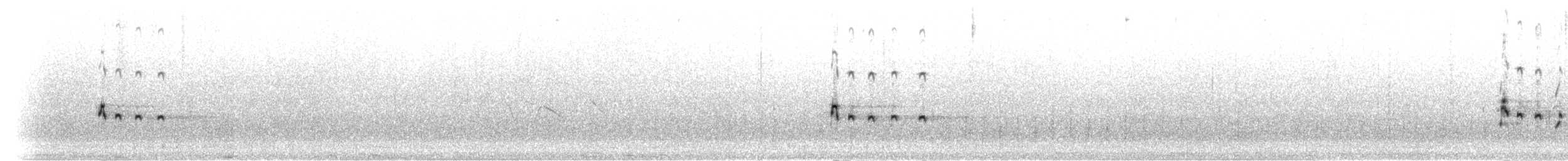srpatka ibisovitá - ML285357