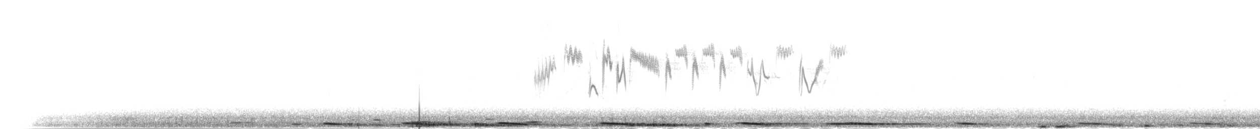 holub útesový - ML285377