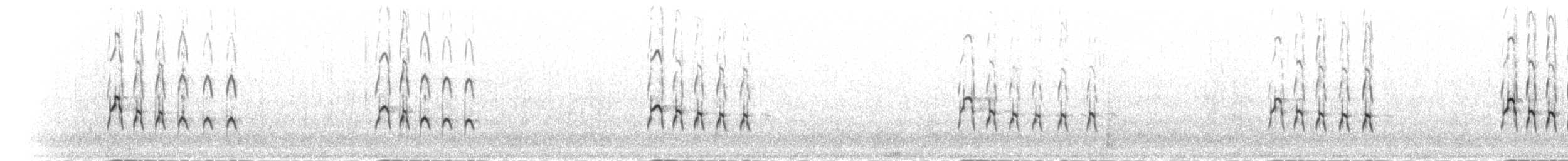 srpatka ibisovitá - ML285396