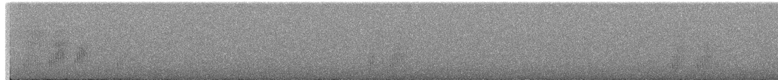 Kara Başlı Timalya - ML285409571