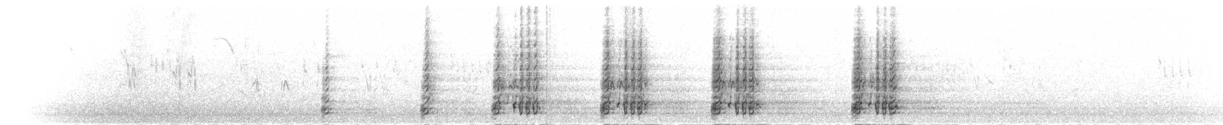 Фазан-вухань білий - ML285410