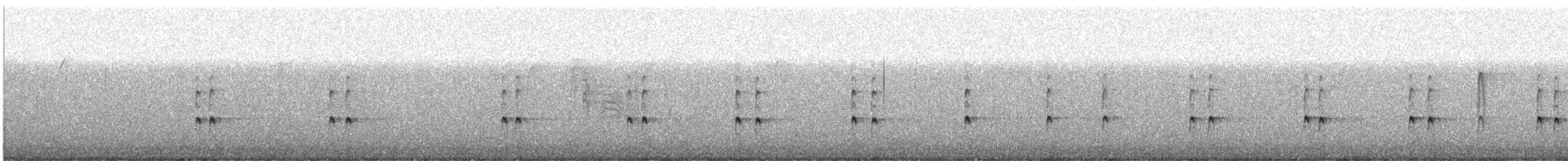 střízlík karolínský - ML285451691