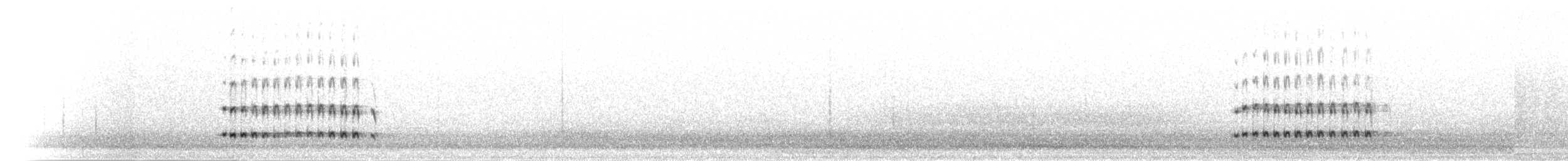 hvithaleløpekråke - ML285477