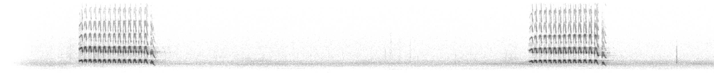 Джиджітка білохвоста - ML285478