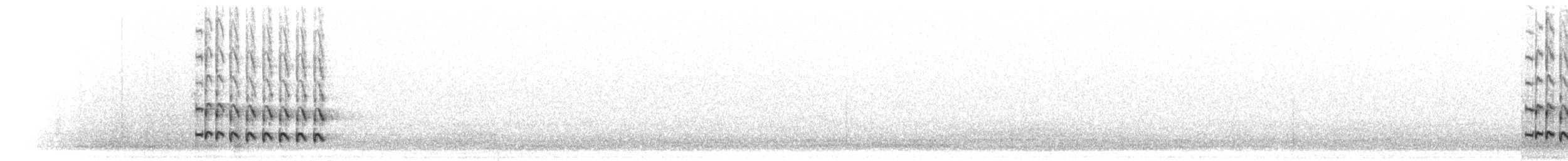 hvithaleløpekråke - ML285480