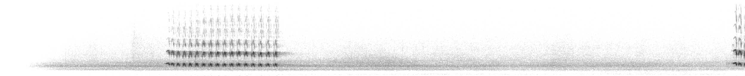 Weißschwanzhäher - ML285481